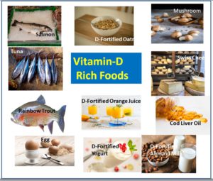 Vitamin-D Rich Foods