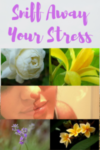 Sniff-away-your-stress