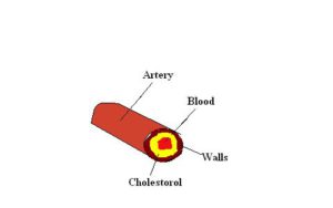 Reduces-Cholesterol