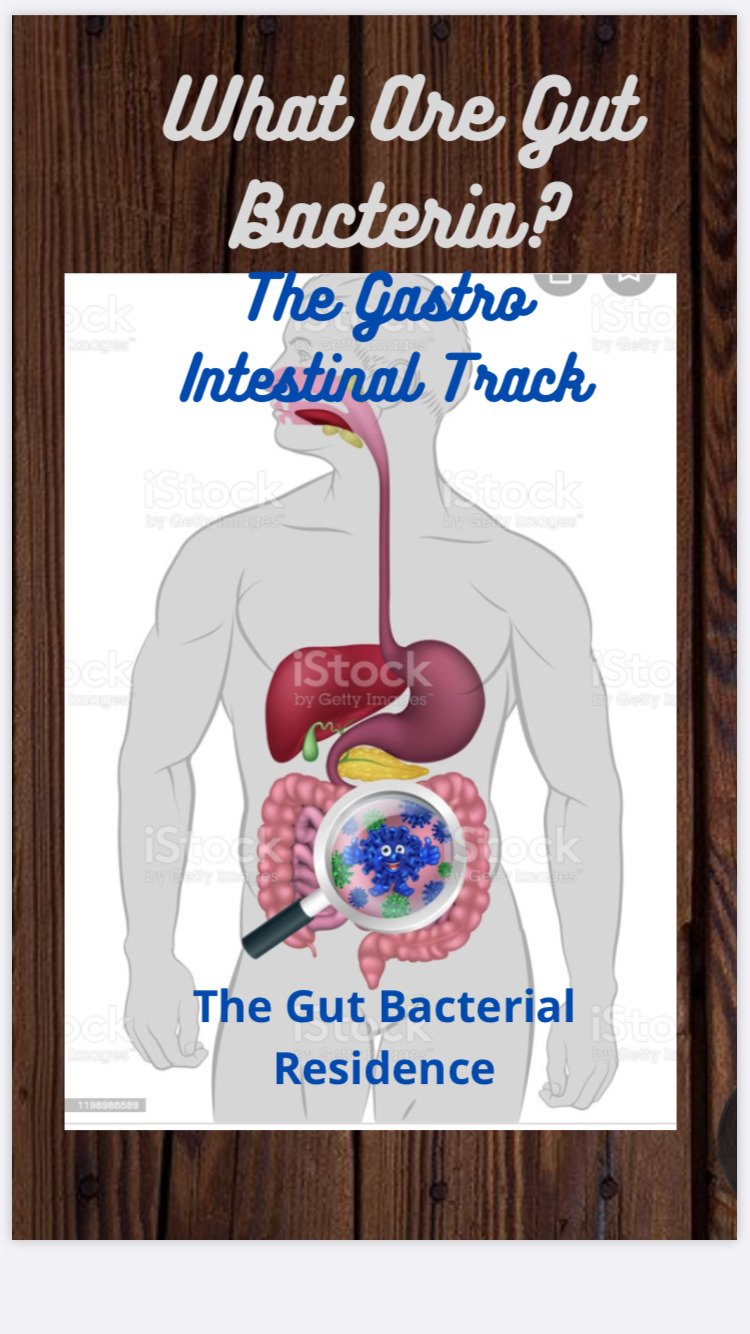 Where-Do-the-Gut-Bacteria- Reside?