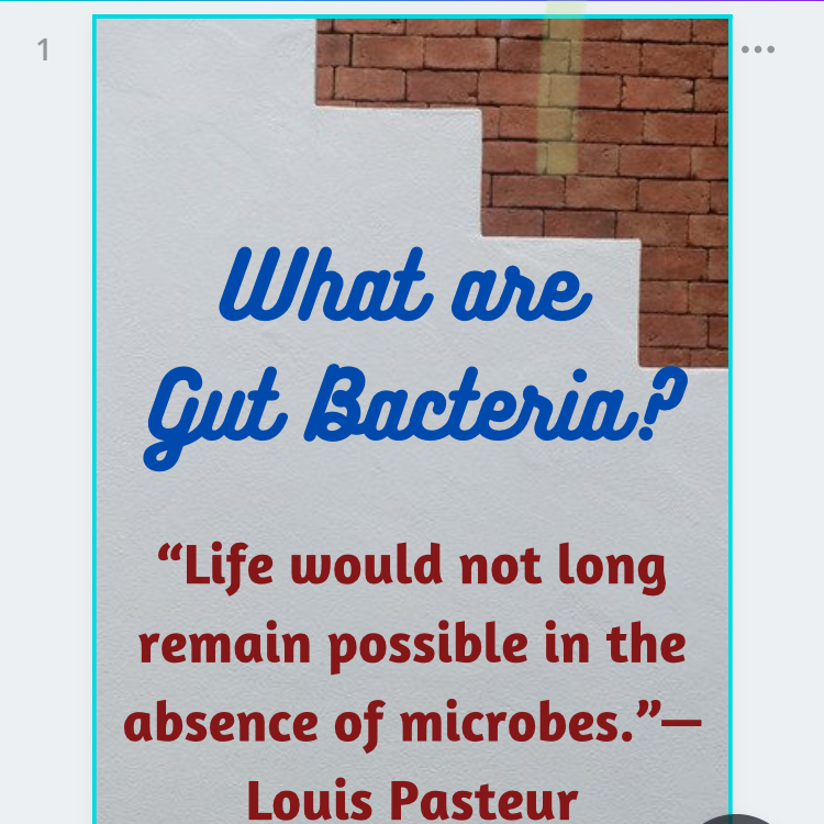 What-Are-Gut-Bacteria- quote from Louis Pasteur