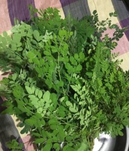 Raw moringa leaves to boost and heal iron deficiency