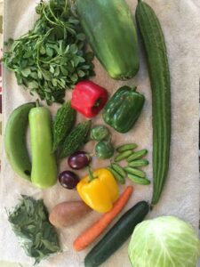 Vegetables-with Fiber-Reduce-Mental-Stress