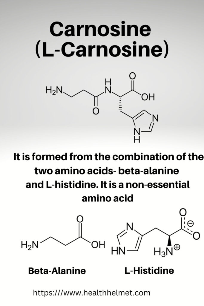 Carnosine (L-Carnosine)